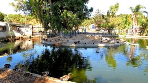 L’administration des forêts sera réhabilitée (ministre)