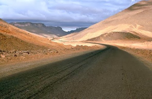 Le Comité de la Transsaharienne appelle à impliquer les entreprises locales pour parachever le projet