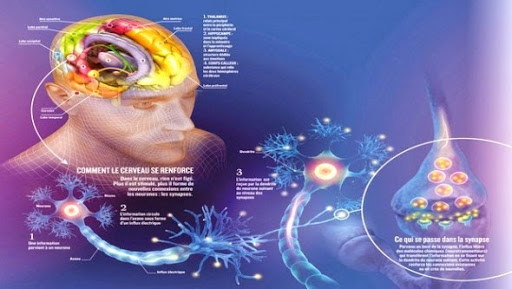 Le diabète et l’hypertension artérielle favorisent les maladies neurodégénératives