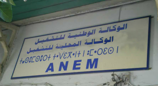 Le directeur général de l’anem, Tahar Chaâlal l’a affirmé hier : «environ 318 000 placements de demandeurs d’emplois réalisés en 2013»