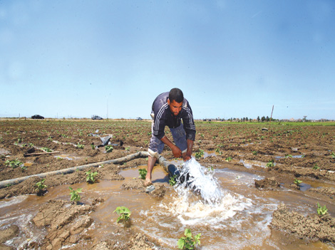 Le droit de concession de terres agricoles a permis d’augmenter la production nationale