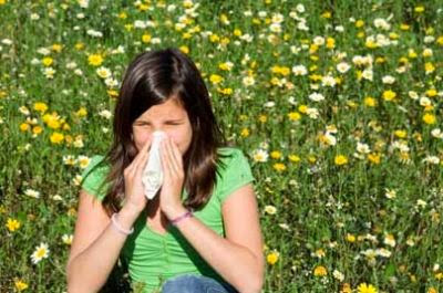 Les allergies saisonnières