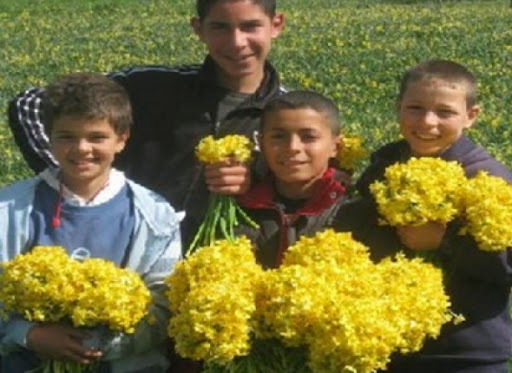 Les bouquets de narcisses « fleurissent » dans les rues d’El Tarf
