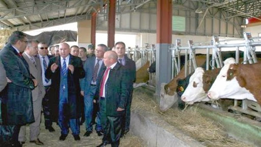 Projet d’élevage bovin en partenariat avec les britanniques (ministre)