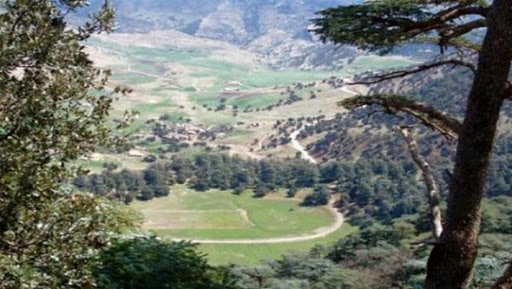 Tissemssilt : 10e semi-marathon de « La boucle verte » au parc des cèdres de Theniet El Had