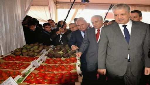 Un programme complémentaire de près de 31 milliards de dinars pour la wilaya de Tipasa