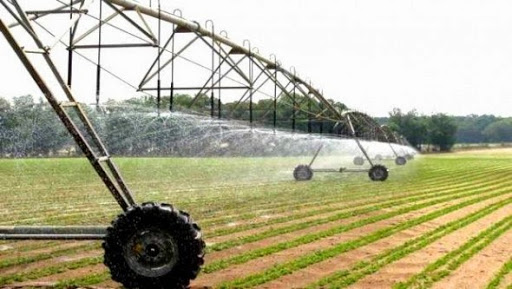 Agriculture: les superficies irriguées ont « plus que doublé » dans la wilaya de Biskra