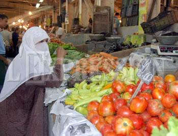 Alors que la production a dépassé les prévisions : Le prix de la tomate va-t-il baisser?