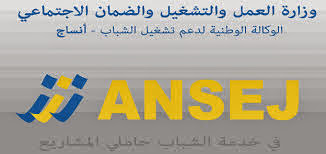 ANSEJ : 615 affaires liées aux détournement des crédits
