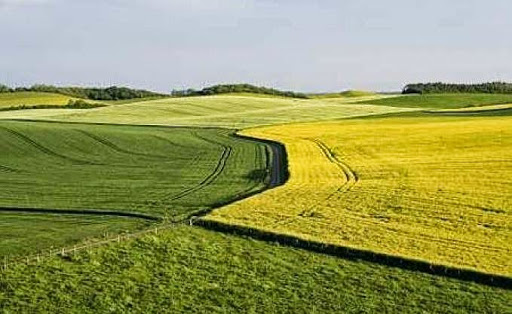 Cartographie des zones céréalières par télédétection, Elle coûtera 20 millions d’euros à l’Algérie