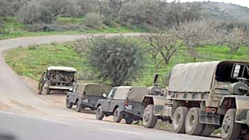 Elimination de deux terroristes dans la région d’Abdelmadjid (Djelfa)