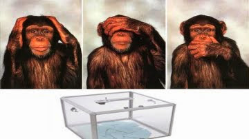 Fraude électorale : mode d’emploi… Par Mohamed Abassa