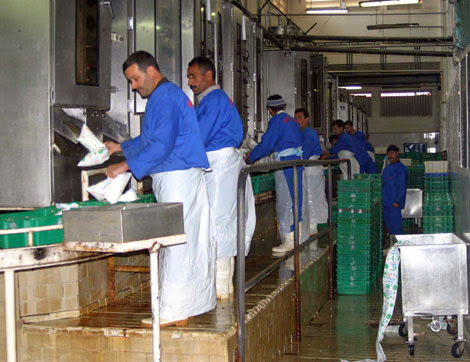 Grève à Colaital-Birkhadem, Giplait rassure sur les approvisionnements