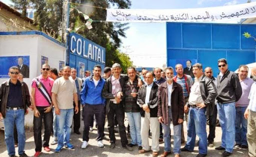 Grève à laiterie de Bir Khadem, Un demi-million de litres de lait en moins