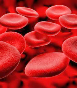 HÉMOPHILIE: Un programme national mis en place