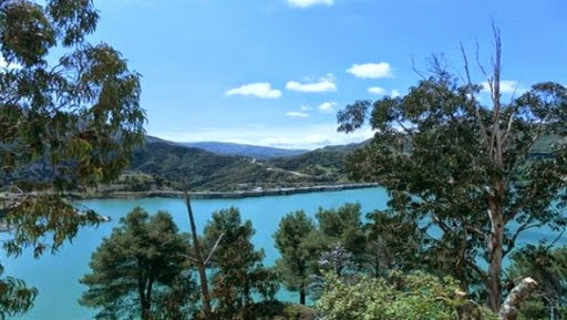 Jijel: une nouvelle vie bourgeonne à Erraguene-Souici