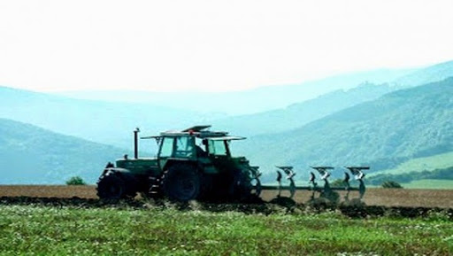L’agriculture à Batna: des résultats tangibles et des horizons prometteurs