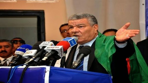 L’Algérie a besoin d’autres haltes et Bouteflika est prêt à davantage de sacrifices (Saadani)