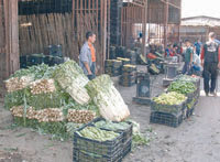 Mandataires: Ministère du Commerce : Le bras de fer