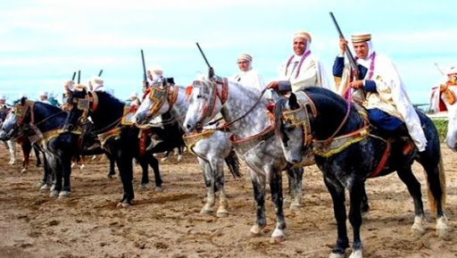 Participation de 20 clubs au salon national du cheval à Tiaret