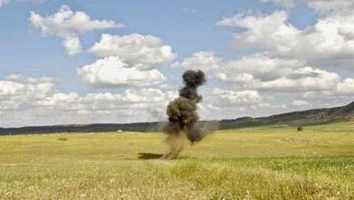 Plus de 50.000 mines antipersonnel détruites dans la wilaya d’El Tarf