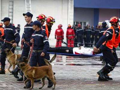 Protection civile, 23 wilayas à risque sismique dotées d’équipes cynotechniques