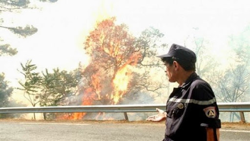 Renforcement du dispositif de prévention contre les feux de forêts à Constantine