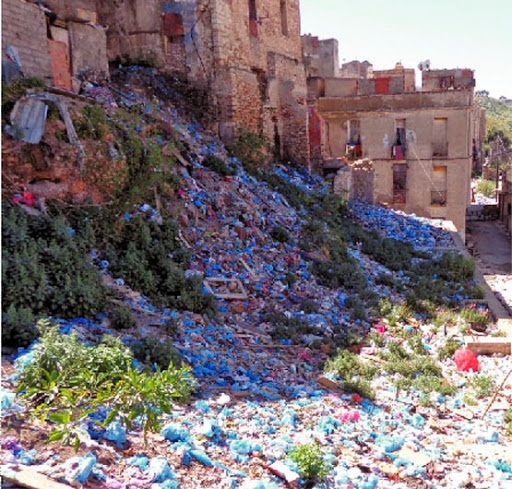 Sangliers, chiens errants, rats et serpents à Haï Derb, Une jungle urbaine dans nos murs