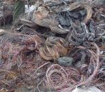 Une tentative de trafic de 14 quintaux de déchets de cuivre déjouée à Tlemcen (Gendarmerie)