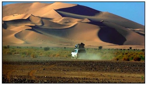 ADRAR : Nécessaire respect de l’environnement dans la fixation des dunes de sable