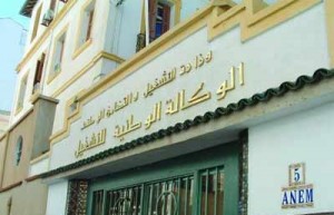 Anem : Plus de 100.000 placements de demandeurs d’emploi