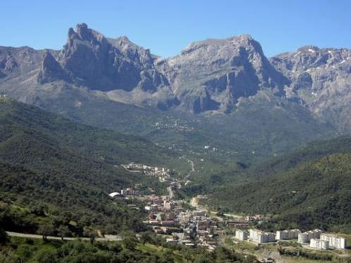 Aqmi revendique une attaque ayant tué onze soldats algériens