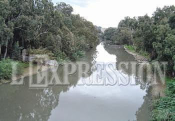 Dépollution de l’oued el harrach : Le grand défi