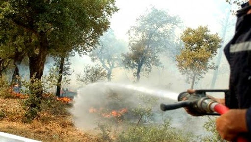 Des mesures pour prévenir les feux de forêts en 2014 (ministre)