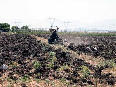 Développement, Demain passe par l’agriculture