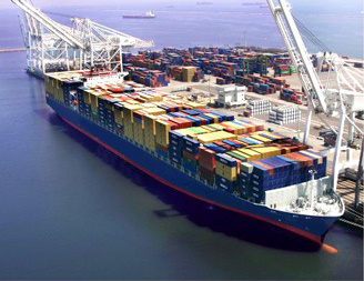 Disponibilité des aliments de Bétail : Les professionnels veulent réduire les importations