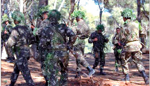 Éradication du terrorisme et du crime organisé : La « grande priorité » de l’Armée nationale populaire