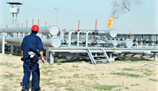 Exploitation de gaz de schiste: le président Bouteflika instruit le gouvernement de veiller à la protection de l’environnement