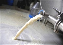 Filière lait : Les turcs arrivent en force