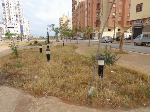 Il était considéré comme le futur Dubaï d’Oran, et la vitrine de la métropole Akid Lotfi, ou le rêve perdu