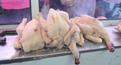 La propagation de la maladie a décimé des milliers de poulets, Alerte à la peste aviaire dans trois wilayas