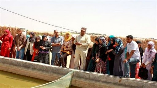 L’adaptation de l’aquaculture comme un créneau de développement recommandée à Ouargla (rencontre)
