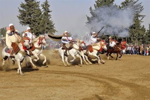 Le cheval barbe s’est inscrit « dans notre histoire dans toute sa dimension socio-culturelle »(Sg de l’OMCB)