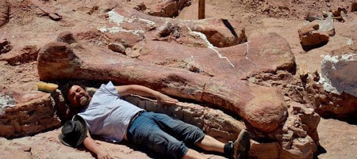 Le plus grand dinosaure du monde découvert en Patagonie