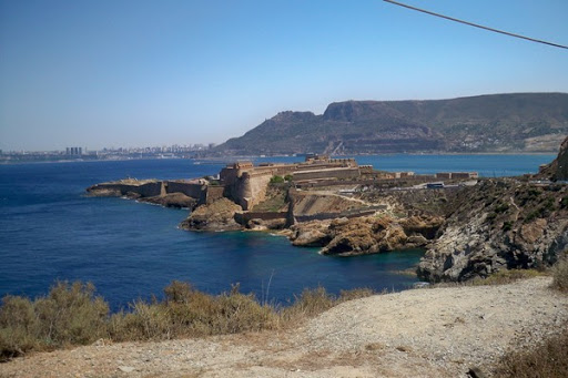 Oran: les îles Habibas donnent le ton à la Journée internationale de la diversité biologique