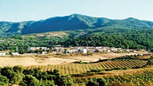 Production agricole « appréciable » dans la wilaya de Jijel