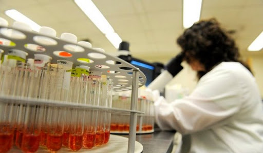 Propagation du coronavirus en arabie saoudite : Les spécialistes plaident pour la vigilance