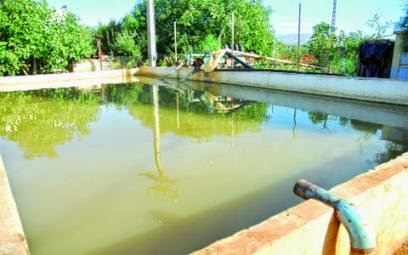 Séminaire de restitution du projet wawaria par l’équipe mixte Algéro- : La réutilisation des eaux usées pour l’irrigation en algérie en exame