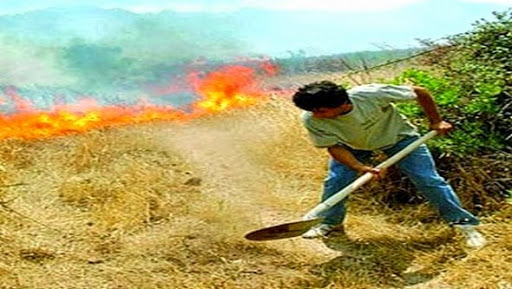 Souk Ahras met la dernière main au plan estival anti-feux de forêts