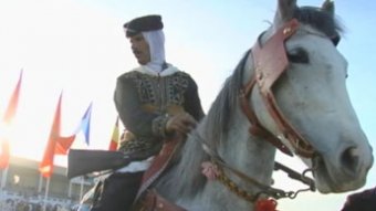 Tiaret: 1.600 cavaliers attendus au salon national du cheval